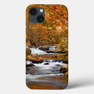 USA, Tennessee. Rushing Mountain Creek iPhone 13 Case