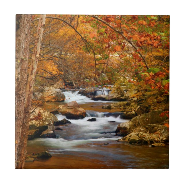 USA, Tennessee. Rushing Mountain Creek Ceramic Tile (Front)