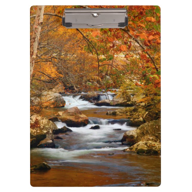 USA, Tennessee. Rushing Mountain Creek Clipboard (Front)