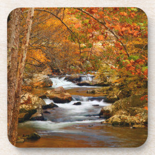 USA, Tennessee. Rushing Mountain Creek Coaster