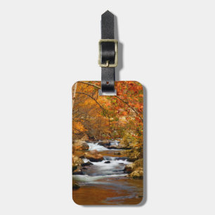 USA, Tennessee. Rushing Mountain Creek Luggage Tag