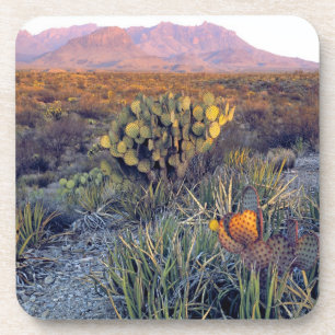 USA, Texas, Big Bend NP. A sandy pink dusk Coaster