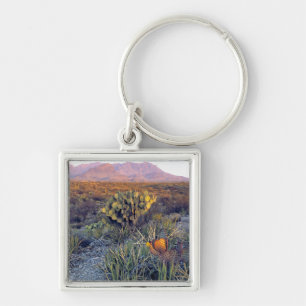 USA, Texas, Big Bend NP. A sandy pink dusk Key Ring