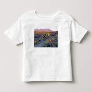USA, Texas, Big Bend NP. A sandy pink dusk Toddler T-Shirt