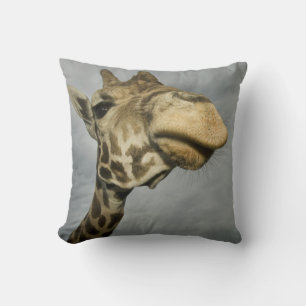 USA, Texas, Fossil Rim Wildlife Area, giraffe Cushion