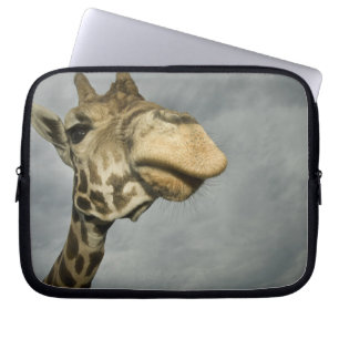 USA, Texas, Fossil Rim Wildlife Area, giraffe Laptop Sleeve