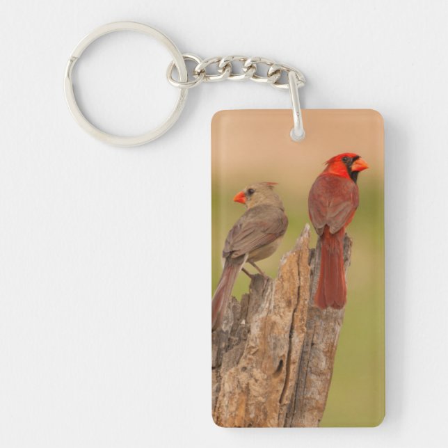 USA, Texas, Hidalgo County. Cardinal Pair Key Ring (Front)