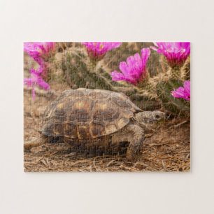 USA, Texas, Hidalgo County. Tortoise Jigsaw Puzzle