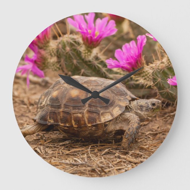 USA, Texas, Hidalgo County. Tortoise Large Clock (Front)