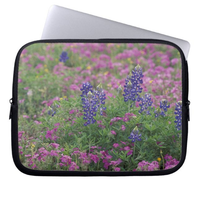 USA, Texas Hill Country. Bluebonnets among phlox Laptop Sleeve (Front)