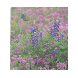 USA, Texas Hill Country. Bluebonnets among phlox Notepad