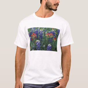USA, Texas Hill Country. Bluebonnets and T-Shirt