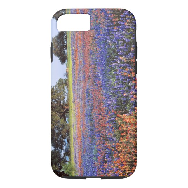 USA, Texas, Llano. Bluebonnets and redbonnets Case-Mate iPhone Case (Back)