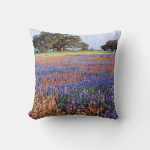 USA, Texas, Llano. Bluebonnets and redbonnets Cushion
