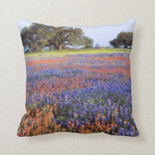 USA, Texas, Llano. Bluebonnets and redbonnets Cushion