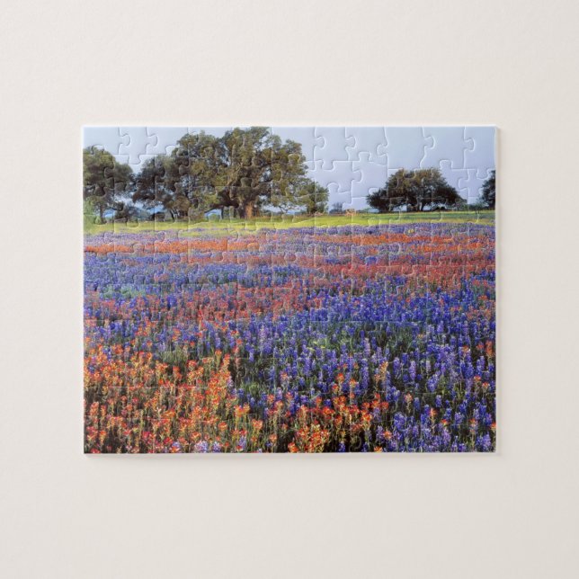 USA, Texas, Llano. Bluebonnets and redbonnets Jigsaw Puzzle (Horizontal)