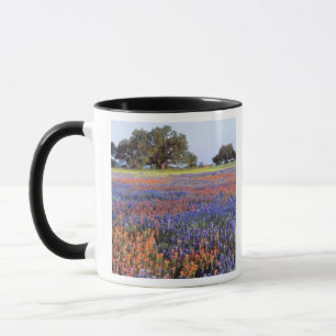 USA, Texas, Llano. Bluebonnets and redbonnets Mug