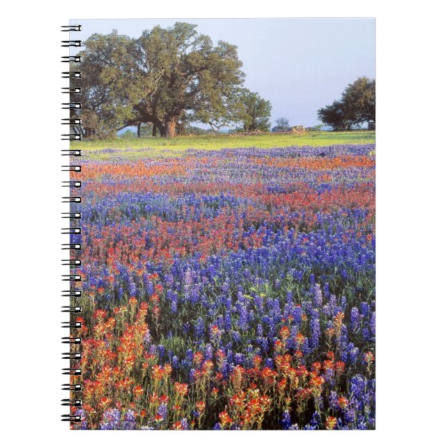 USA, Texas, Llano. Bluebonnets and redbonnets Notebook (Front)
