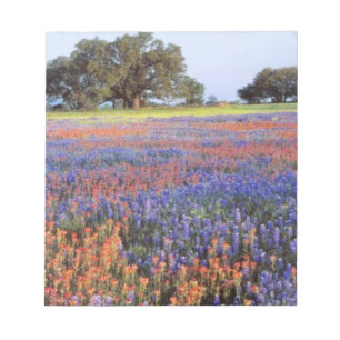 USA, Texas, Llano. Bluebonnets and redbonnets Notepad