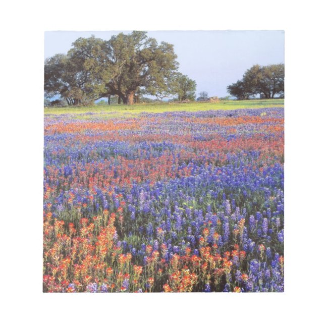 USA, Texas, Llano. Bluebonnets and redbonnets Notepad (Front)