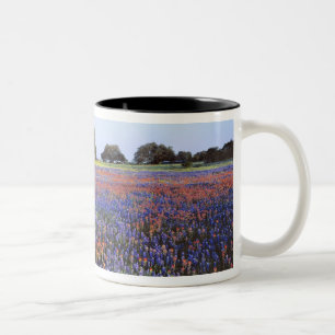 USA, Texas, Llano. Bluebonnets and redbonnets Two-Tone Coffee Mug