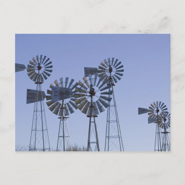 USA, TEXAS, Lubbock: American Wind Power Centre Postcard (Front)