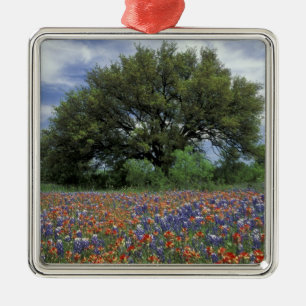 USA, Texas, Marble Falls Paintbrush and Metal Tree Decoration