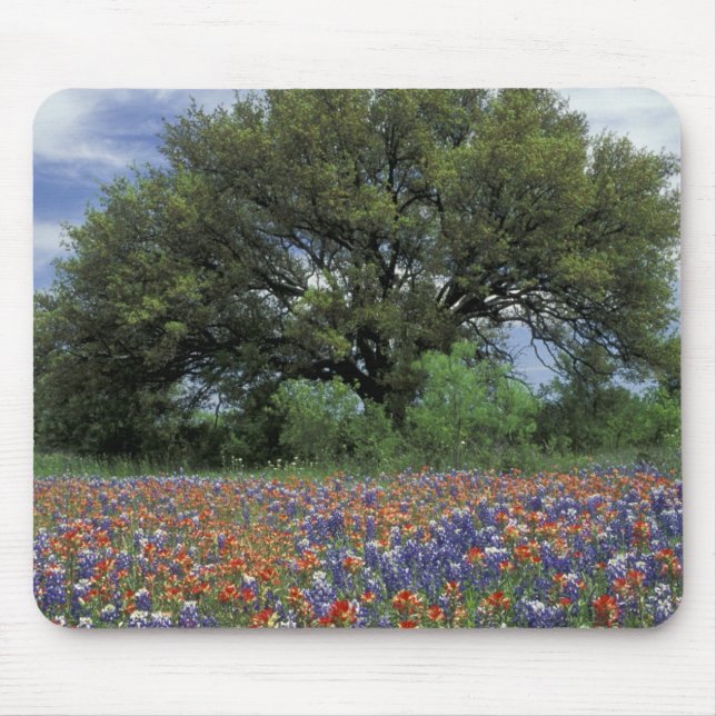 USA, Texas, Marble Falls Paintbrush and Mouse Pad (Front)