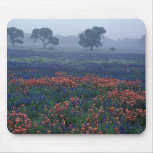USA, Texas, near Lytle Fog, oaks, blue bonnets Mouse Pad
