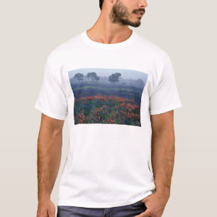 USA, Texas, near Lytle Fog, oaks, blue bonnets T-Shirt