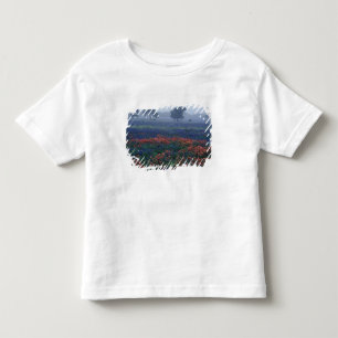 USA, Texas, near Lytle Fog, oaks, blue bonnets Toddler T-Shirt