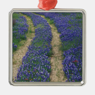 USA, Texas, near Marble Falls, Tracks in blue Metal Ornament