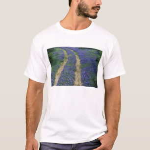 USA, Texas, near Marble Falls, Tracks in blue T-Shirt