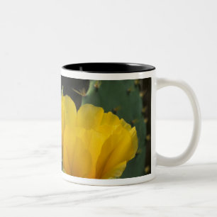 USA, Texas, Prickly Pear Cactus in bloom. Two-Tone Coffee Mug