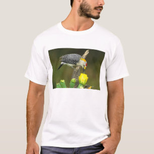 USA, Texas, Rio Grande Valley, McAllen. Male T-Shirt