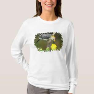 USA, Texas, Rio Grande Valley, McAllen. Male T-Shirt
