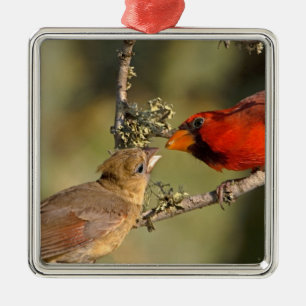 USA, Texas, Rio Grande Valley, McAllen. Mated Metal Ornament