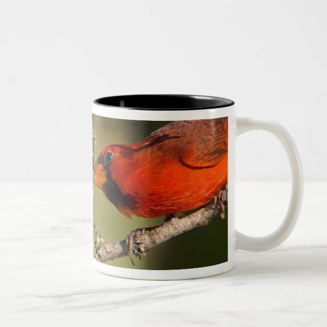 USA, Texas, Rio Grande Valley, McAllen. Mated Two-Tone Coffee Mug (Right)