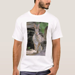 USA, Texas, Rio Grande Valley. Wild desert T-Shirt