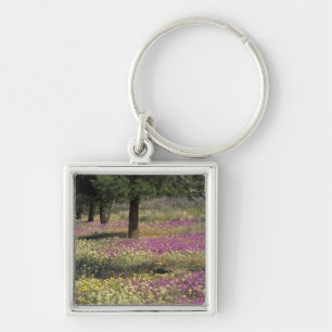 USA, Texas, Sand Verbena and Brown-eyed Key Ring
