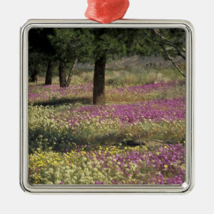 USA, Texas, Sand Verbena and Brown-eyed Metal Tree Decoration
