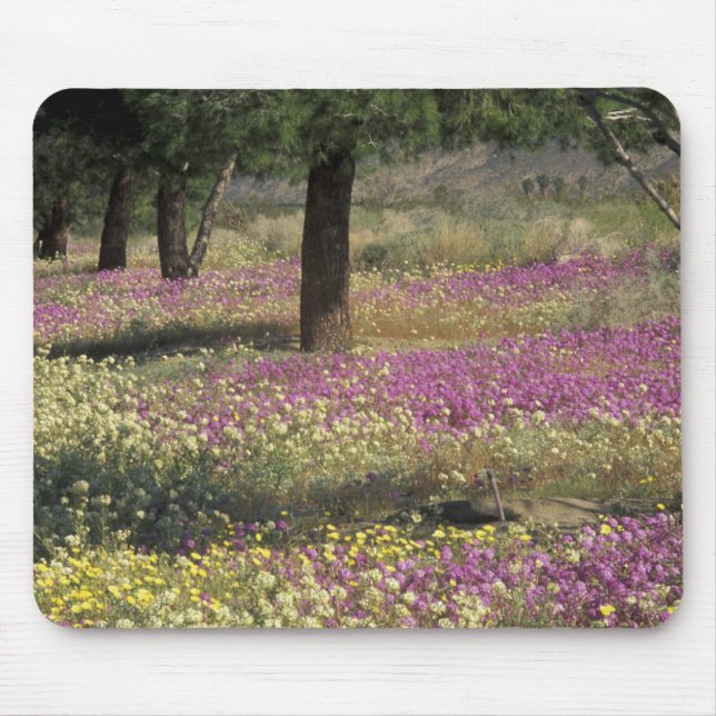 USA, Texas, Sand Verbena and Brown-eyed Mouse Pad (Front)