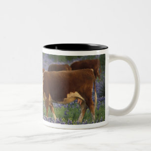USA, Texas, Texas Hill Country, Hereford Two-Tone Coffee Mug