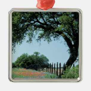 USA, Texas, Texas Hill Country Paintbrush and Metal Ornament