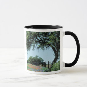 USA, Texas, Texas Hill Country Paintbrush and Mug