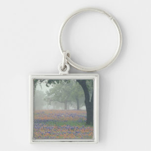 USA, Texas. Texas paintbrush and bluebonnets Key Ring