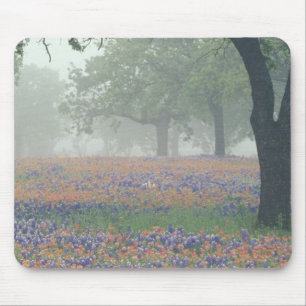 USA, Texas. Texas paintbrush and bluebonnets Mouse Pad