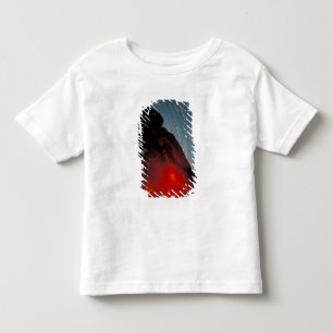 USA, Utah, Arches National Park, Petroglyphs Toddler T-Shirt