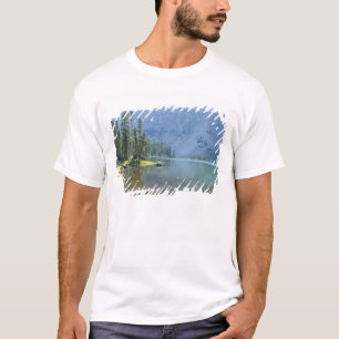 USA, Utah, Ashley National Forest, High Uintas T-Shirt