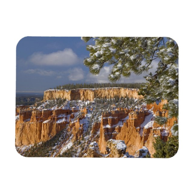 USA, Utah, Bryce Canyon National Park. Sunrise Magnet (Horizontal)